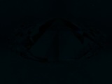 Fluorescence