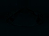 Fluorescence
