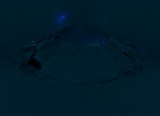 Fluorescence