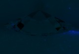 Fluorescence